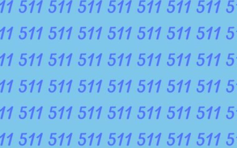 Devinette d'observation 571 parmi 511