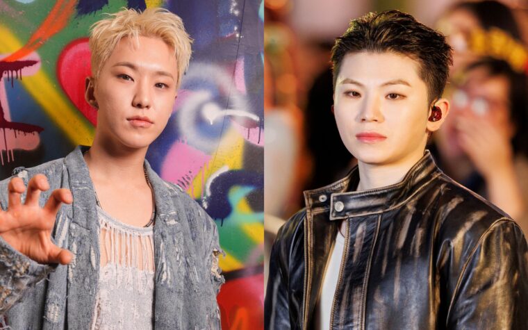 Dix-sept ans Hoshi et Woozi dépassent la vidéo spéciale pour 'Stupid Idiot'