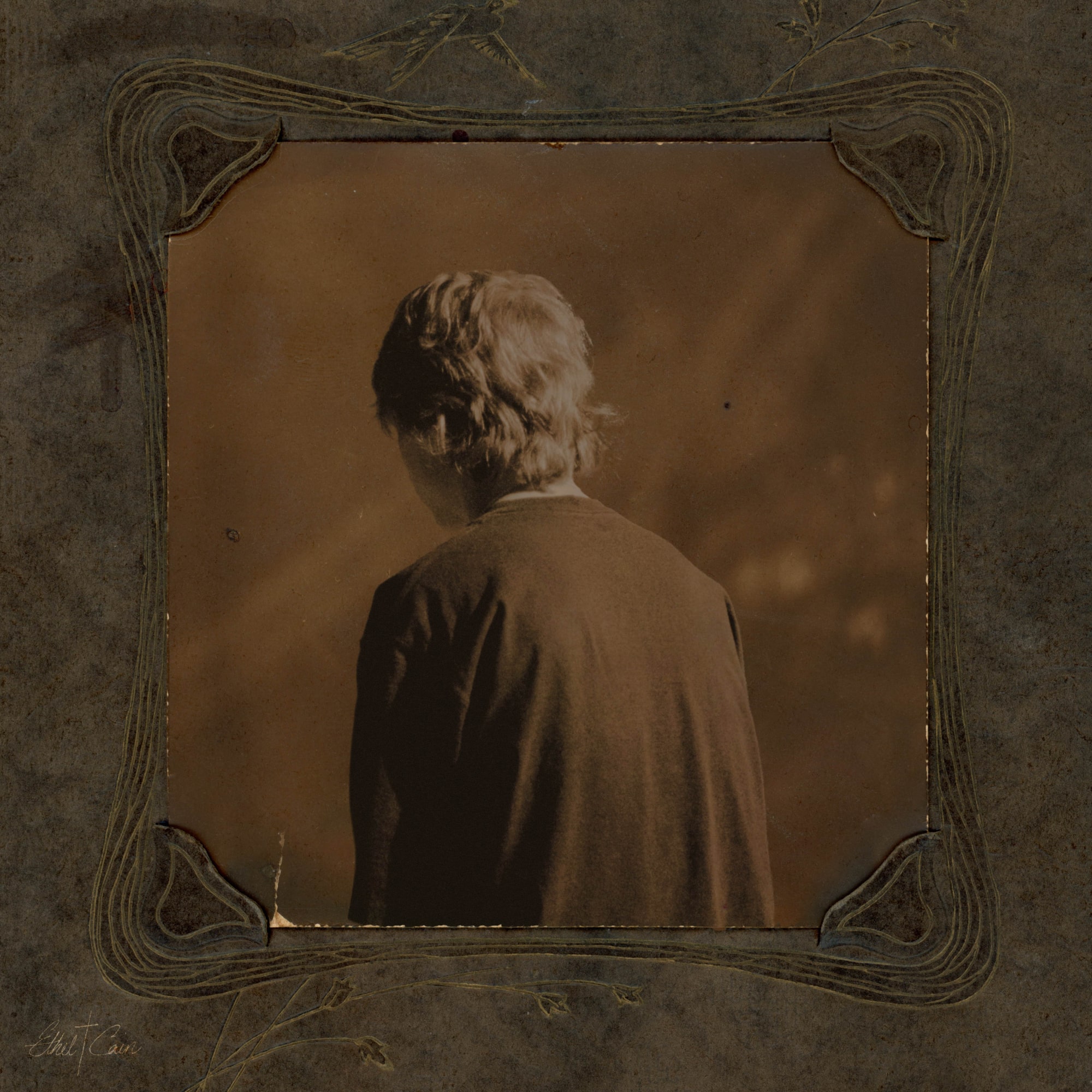 Illustration de l'album: Photo de Silken Weinberg, illustrations de Hayden Anhedönia