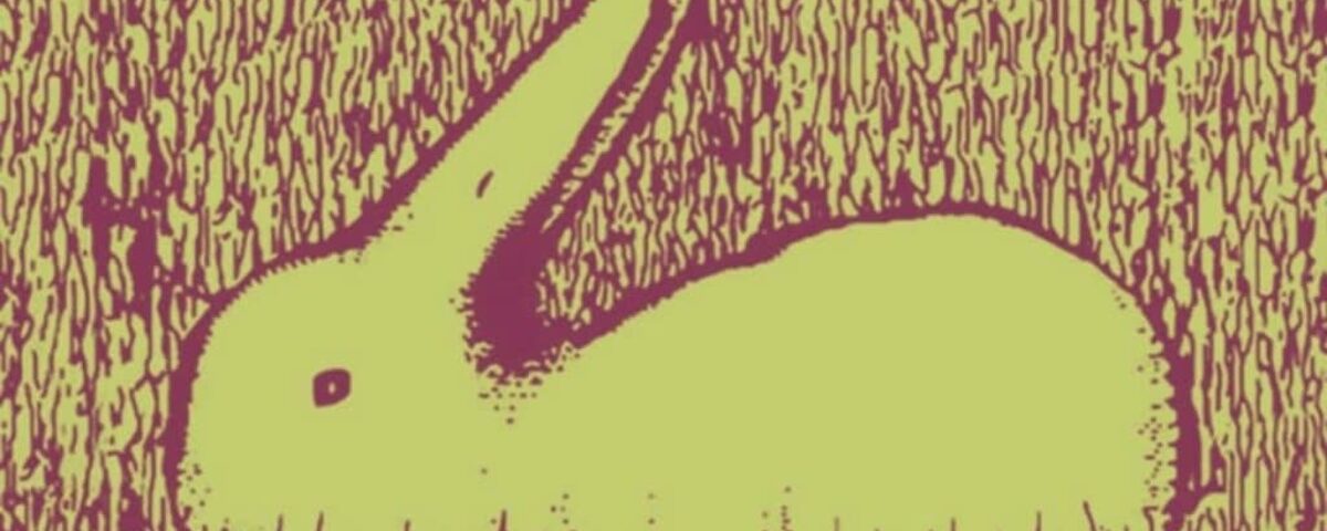 L’animal que vous voyez en premier dévoile si vous êtes utopiste ou réaliste