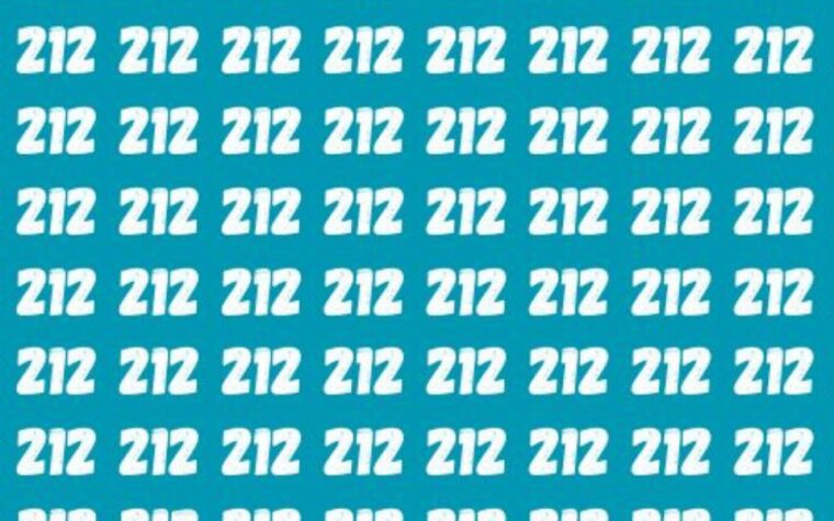 Test Visuel 213 et 217 parmi 212