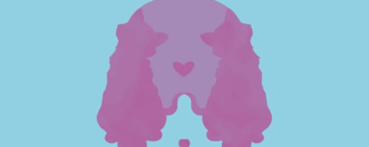 Ce que l’animal que vous voyez en premier dit vraiment de votre personnalité Ce que l’animal que vous voyez en premier dit vraiment de votre personnalité