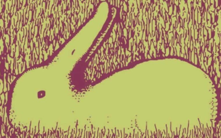 première perception animale