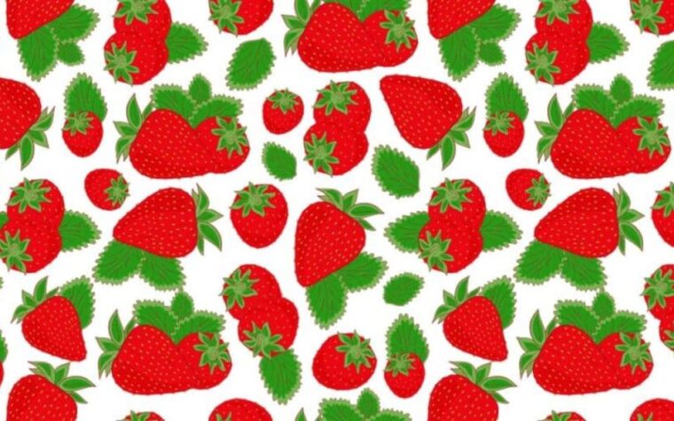 Défi d’observation fraises