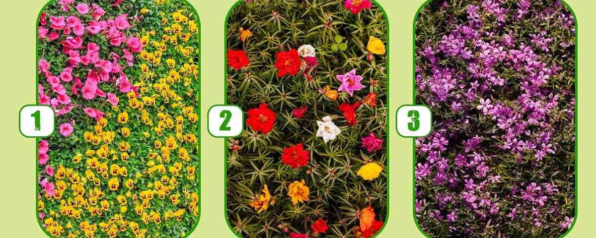 Test de personnalité : quel arbuste fleuri révèle votre façon de vivre pleinement ?