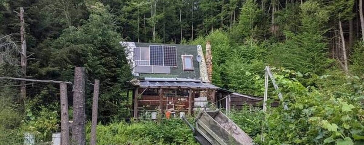 Expulsé de sa cabane après 27 ans de vie isolée : l’histoire de « l’homme des bois »