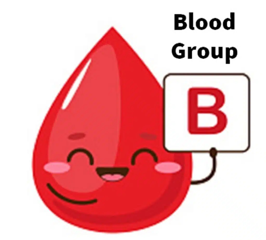 Groupe sanguin B