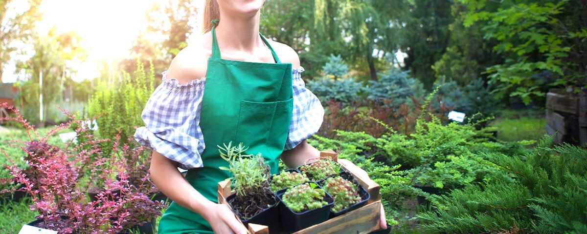 Cette astuce de maraîcher a quadruplé mes récoltes malgré la canicule