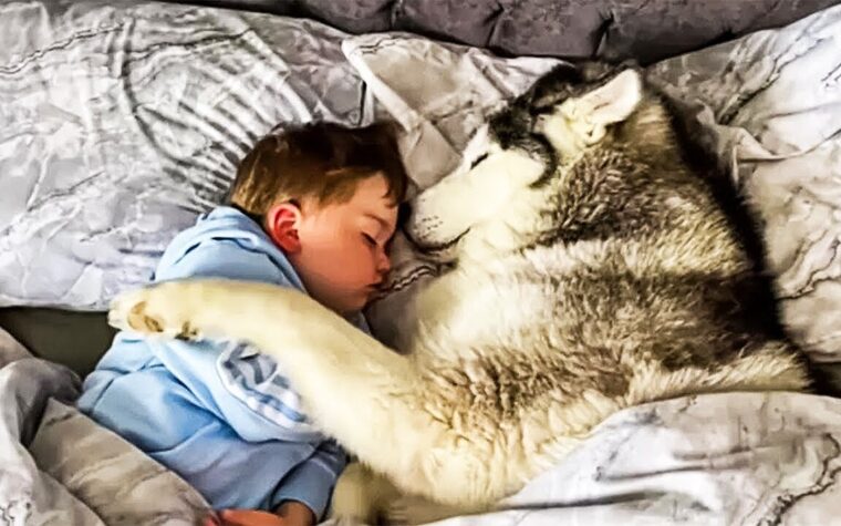 chien dort chaque nuit près d’un garçon