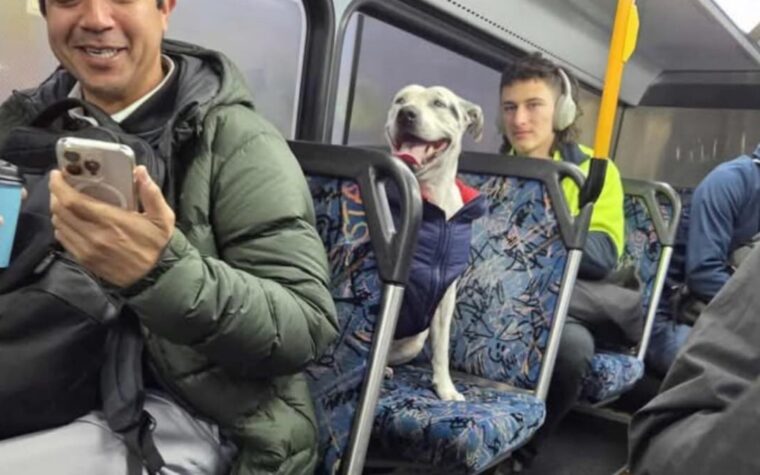 passagers d’un bus