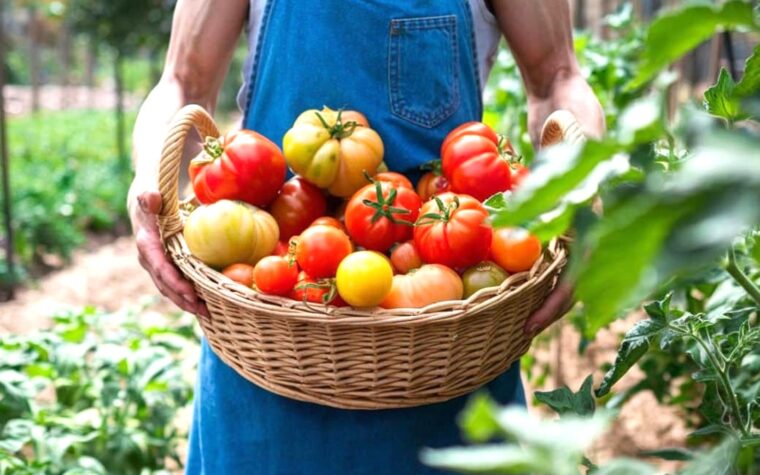 Beaucoup de jardiniers oublient ce détail après août