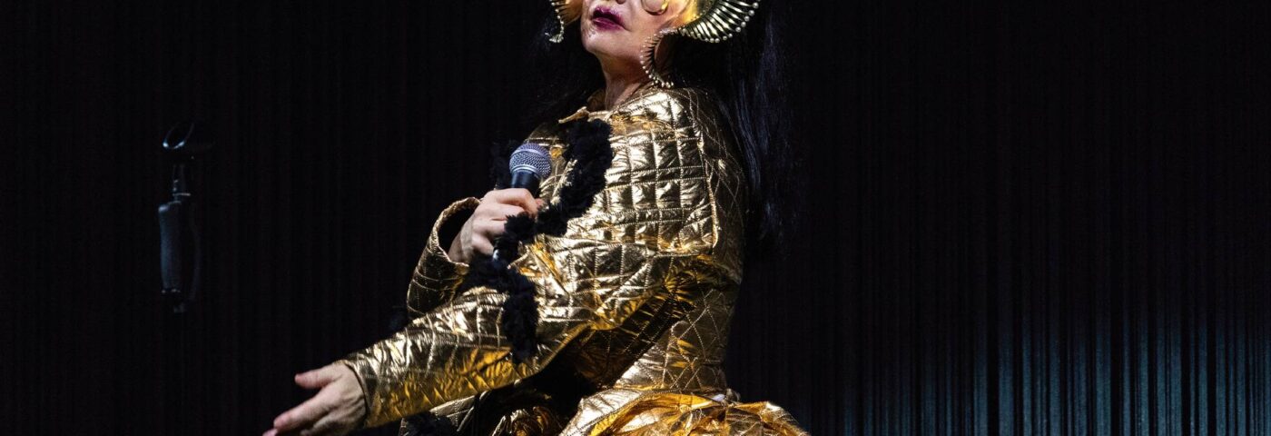 Björk ne rejoint aucune musique pour le génocide et supprime le catalogue du streaming en Israël