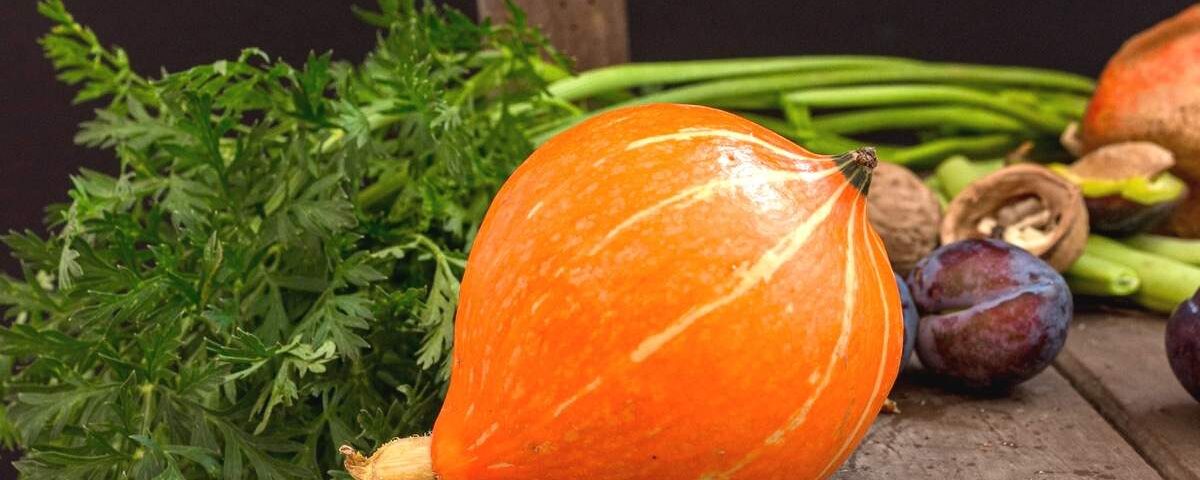 Ce légume ancien à semer après août résiste à la sécheresse et offre une récolte surprenante