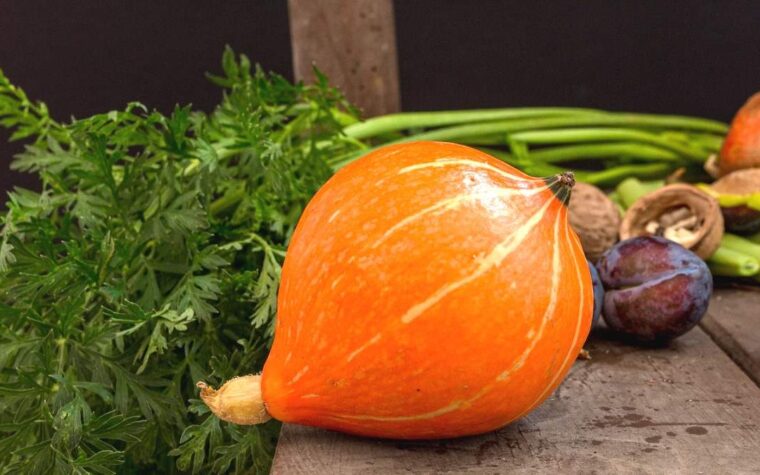 Ce légume ancien à semer après août résiste à la sécheresse et offre une récolte surprenante
