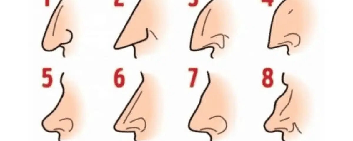 Ce que la forme de votre nez révèle inconsciemment aux autres
