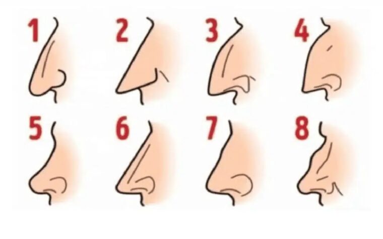 Ce que la forme de votre nez révèle inconsciemment aux autres