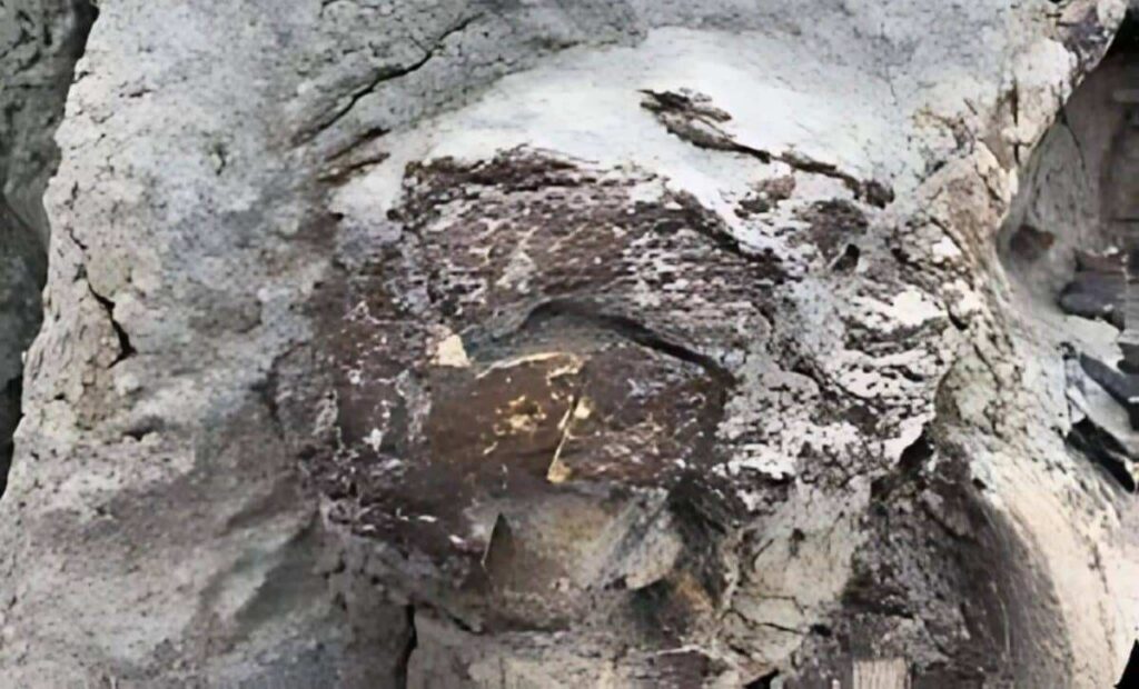 Un squelette de dinosaure presque complet découvert avec une peau parfaitement conservée