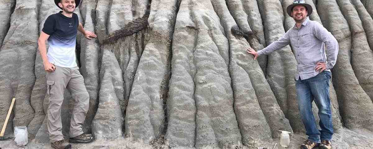 Un squelette de dinosaure presque complet découvert avec une peau parfaitement conservée