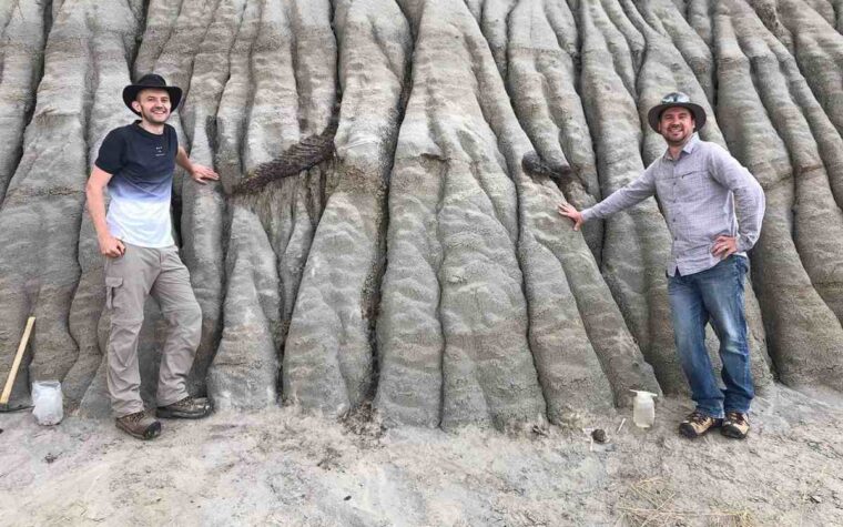 Un squelette de dinosaure presque complet découvert avec une peau parfaitement conservée