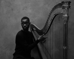 Dave – Critique de « Le garçon qui jouait de la harpe » : la douleur d'un prophète peinte au piano