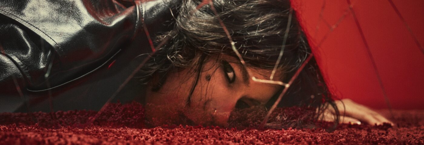 « Je crée de la musique avec une bizarrerie typiquement japonaise »