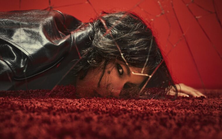 "Je crée de la musique avec une bizarrerie typiquement japonaise"