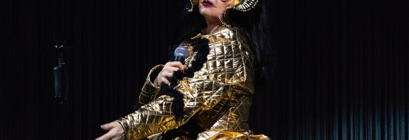 Björk a un nouvel album en route