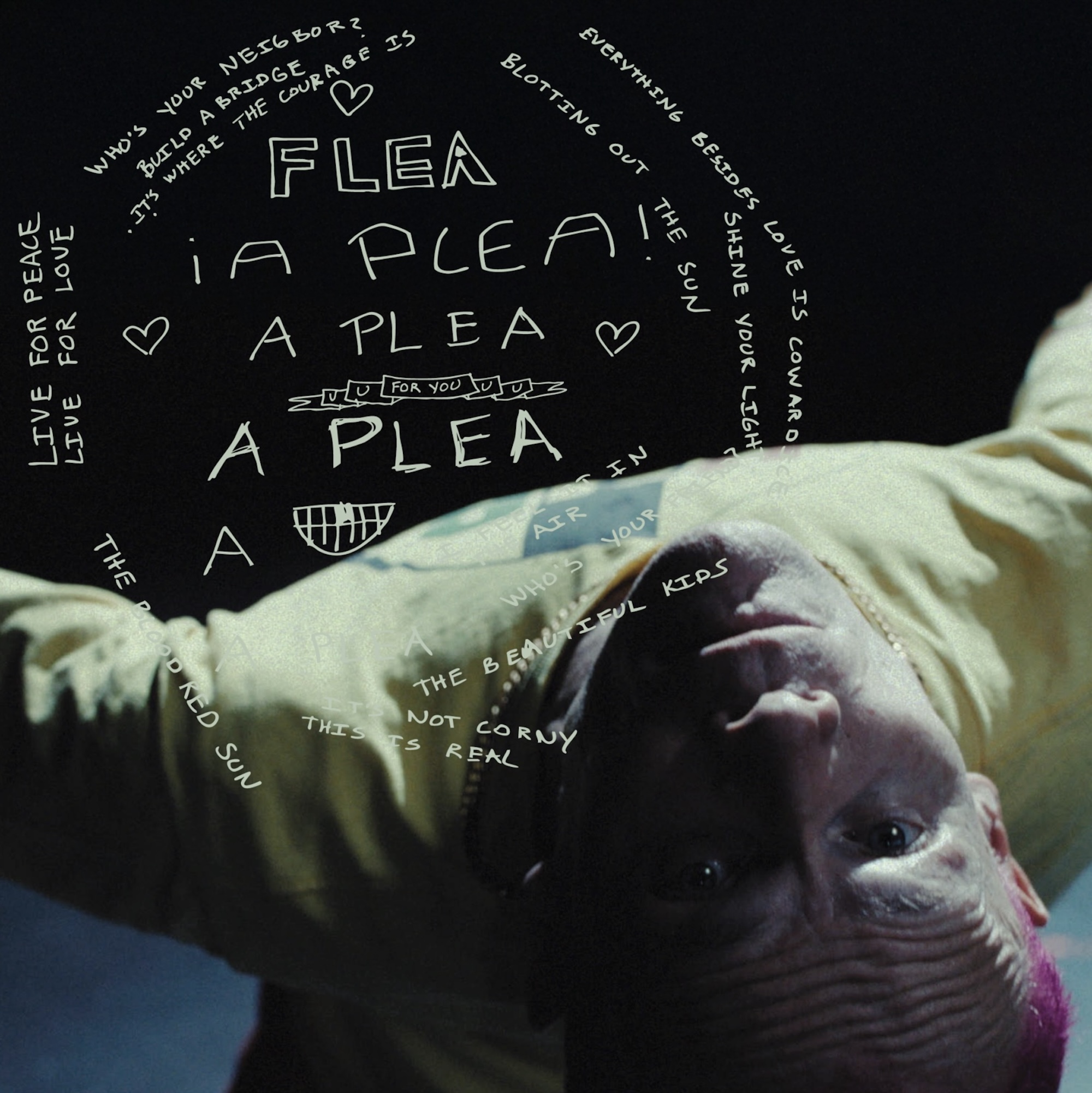 Couverture unique de Flea 'A Plea'