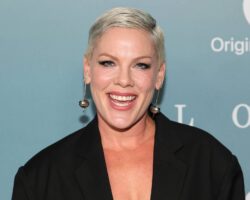 "Le rock'n'roll est un sport de contact"