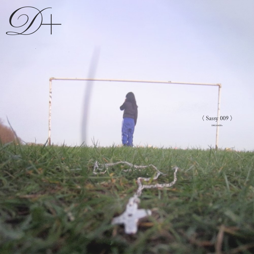 impertinent 009 rêveur+ critique