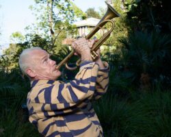 les débuts jazzy et réconfortants du Chili Pepper se penchent fortement en arrière