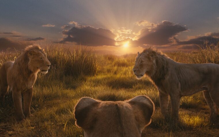 La traduction de ce que signifient réellement les paroles d'ouverture du thème « Le Roi Lion » devient virale La traduction de ce que signifient réellement les paroles d'ouverture du thème « Le Roi Lion » devient virale