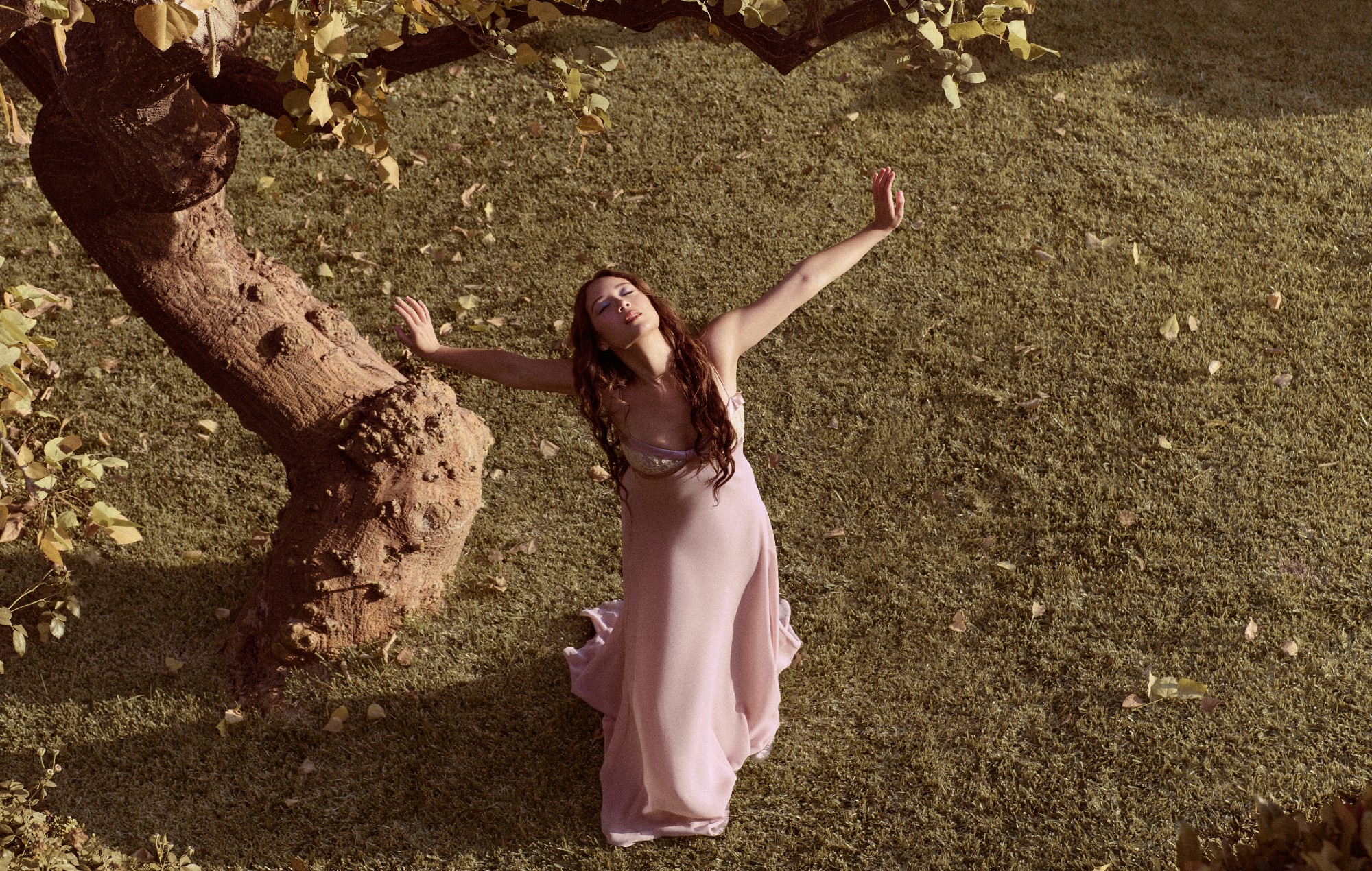 Laufey, une question de temps