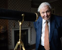 Sigur Rós et Bastille pour la fête du 100e anniversaire de David Attenborough au Royal Albert Hall