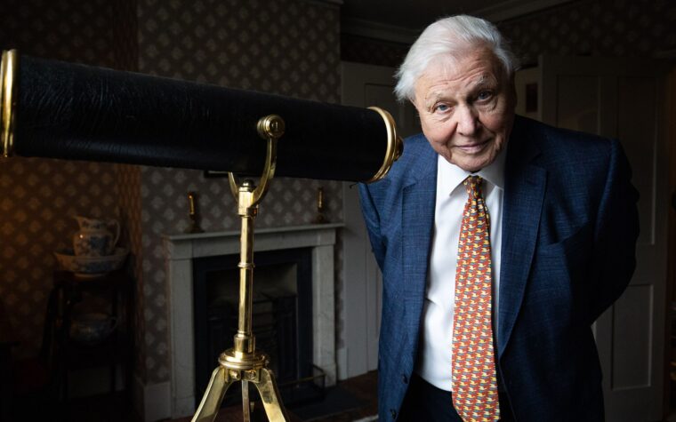 Sigur Rós et Bastille pour la fête du 100e anniversaire de David Attenborough au Royal Albert Hall Sigur Rós et Bastille pour la fête du 100e anniversaire de David Attenborough au Royal Albert Hall