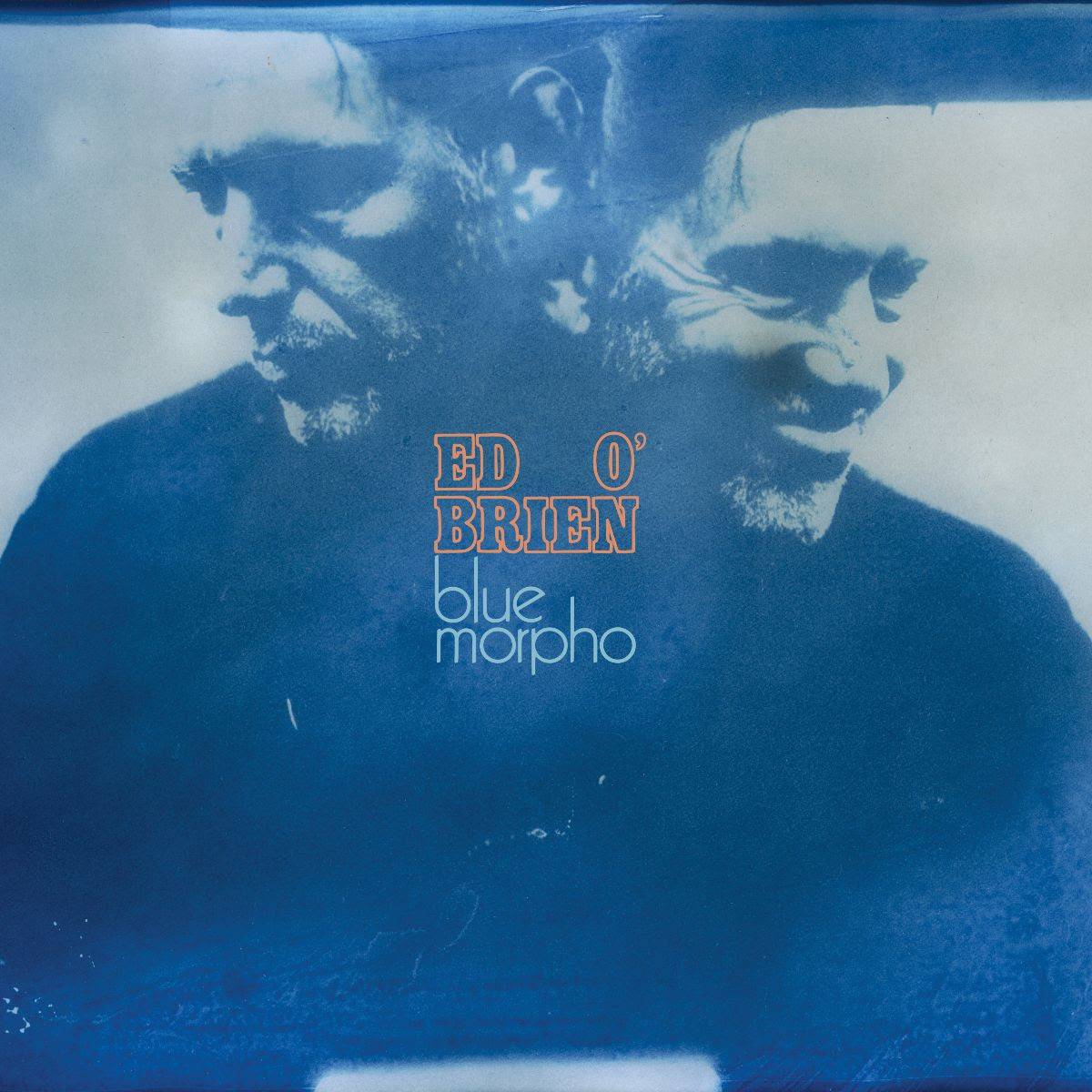 Ed O'Brien, « Blue Morpho ». Crédit : Presse