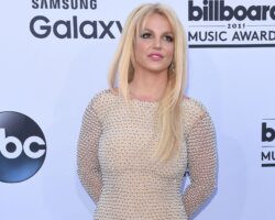 Le représentant de Britney Spears met fin à l'affirmation « ridicule » selon laquelle elle s'est comportée de manière erratique avec un couteau dans un restaurant, alors que la star brise le silence après une conduite en état d'ébriété et une cure de désintoxication