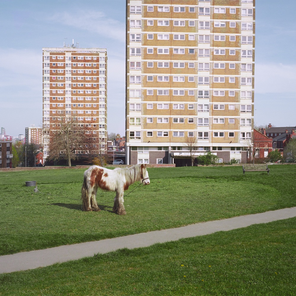 Westside Cowboy, il est en révision