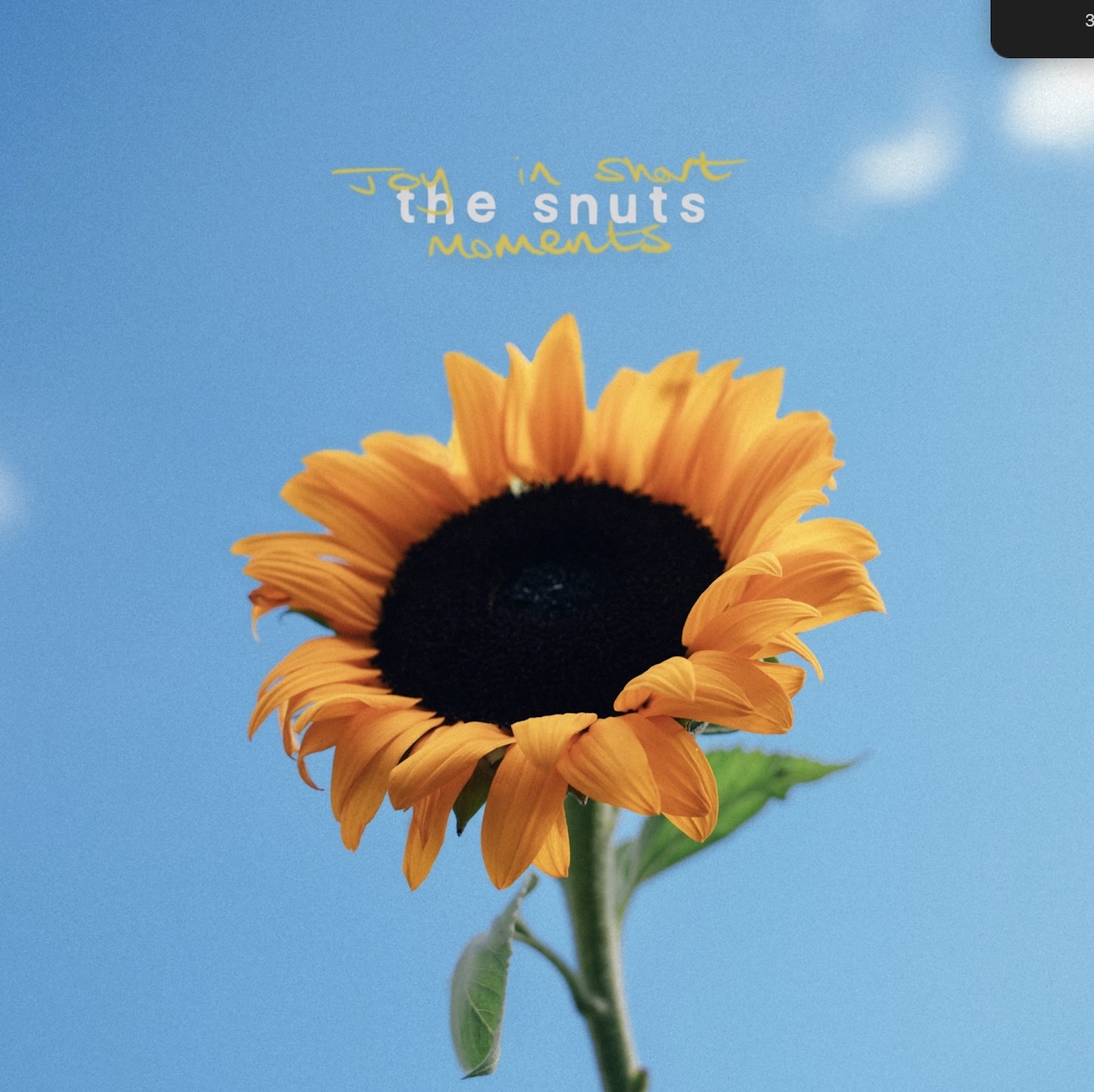 Œuvre d'art « Joy In Short Moments » des Snuts